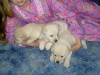 PICT0570