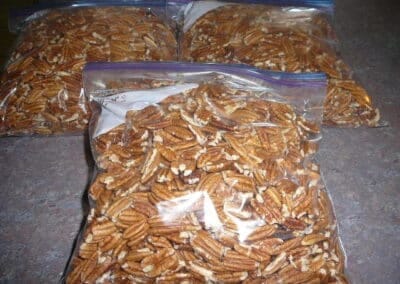 FARM FRESH PECANS-New Crop in 2025