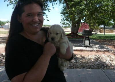 Golden Retriever pup