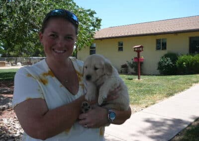 Golden Retriever pup