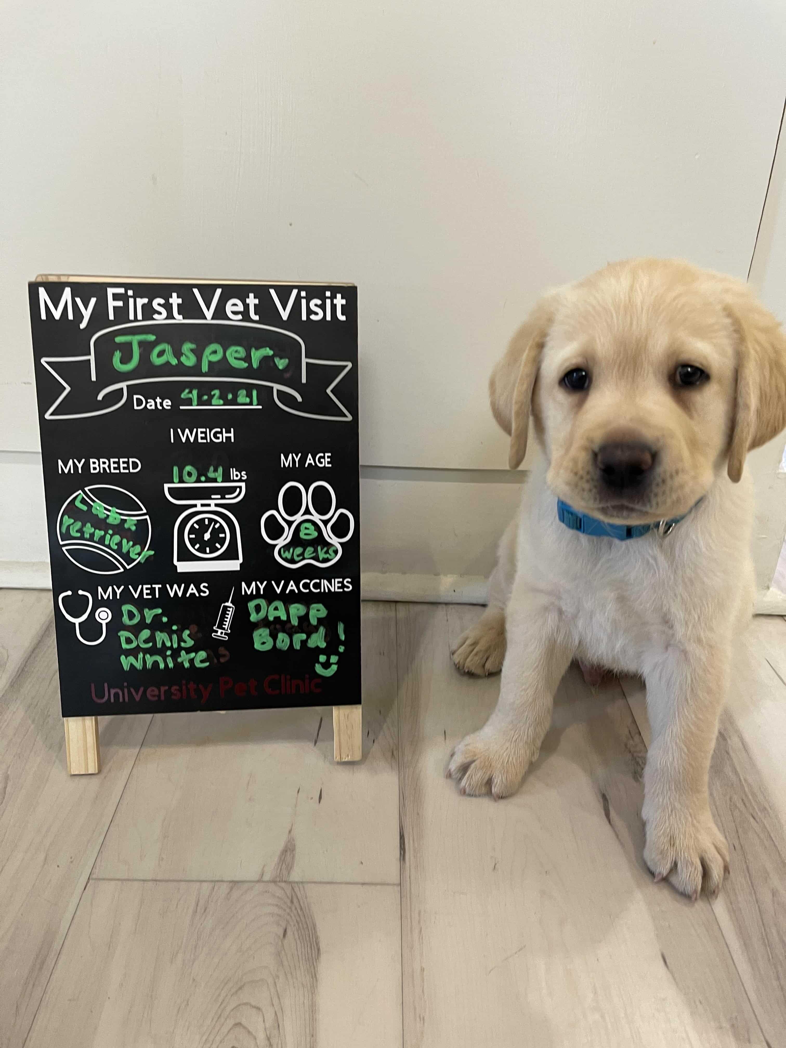 Jasper - first doctor visit